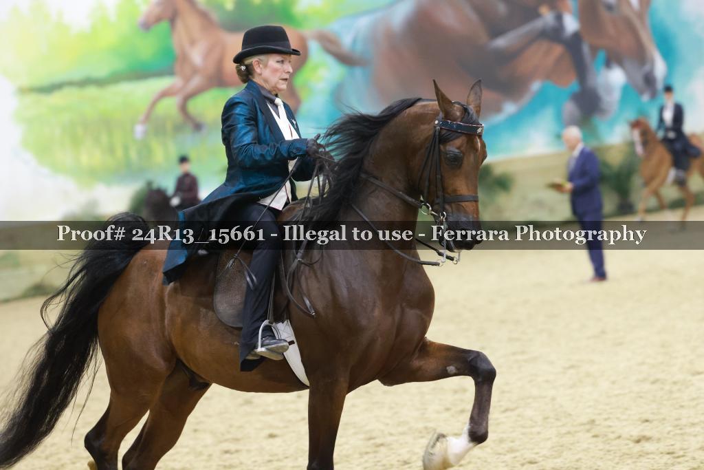 Proof 24R13_15661