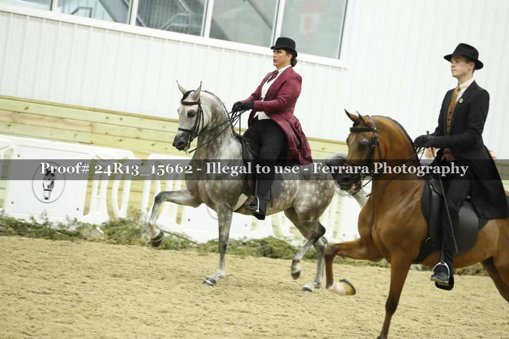 Proof 24R13_15662