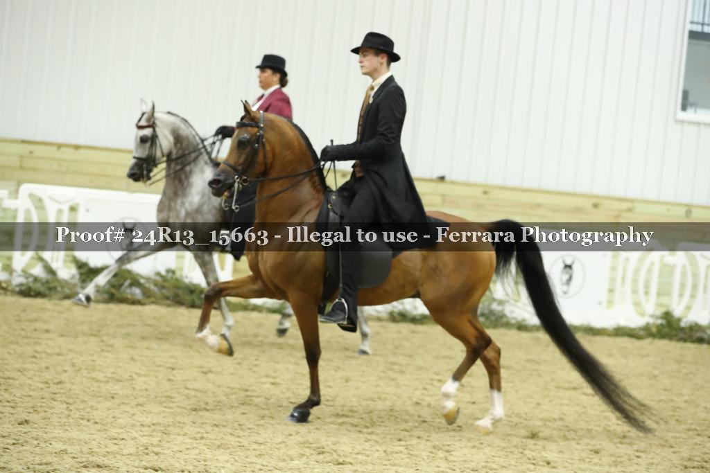 Proof 24R13_15663