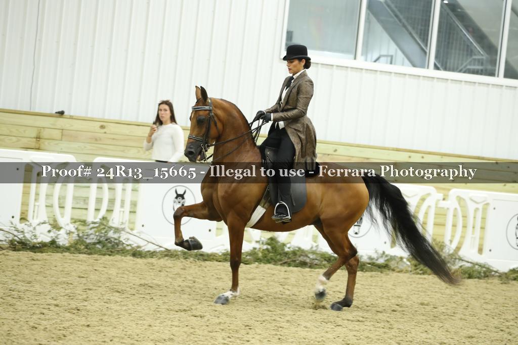 Proof 24R13_15665