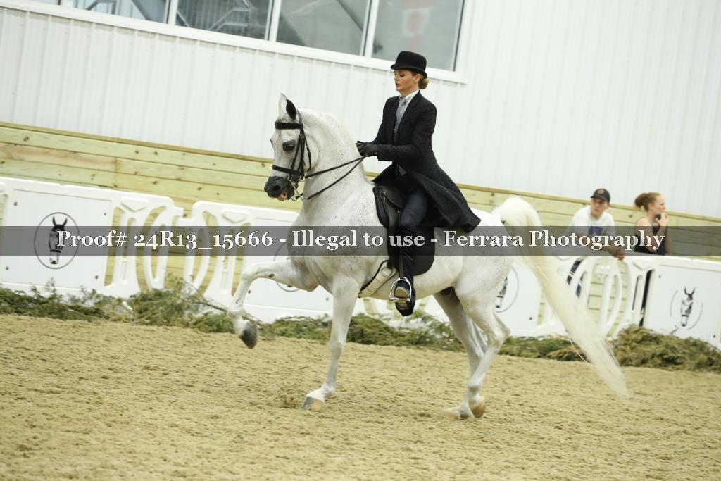 Proof 24R13_15666