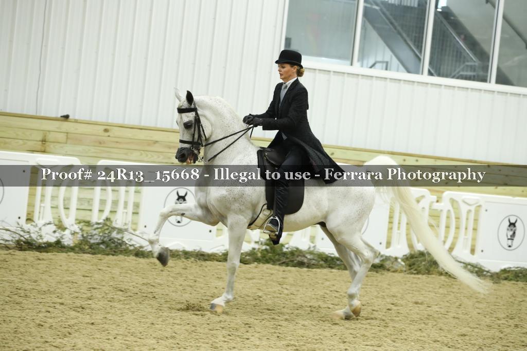 Proof 24R13_15668