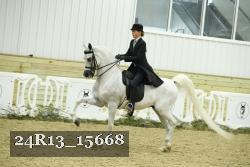 24R13_15668 proof