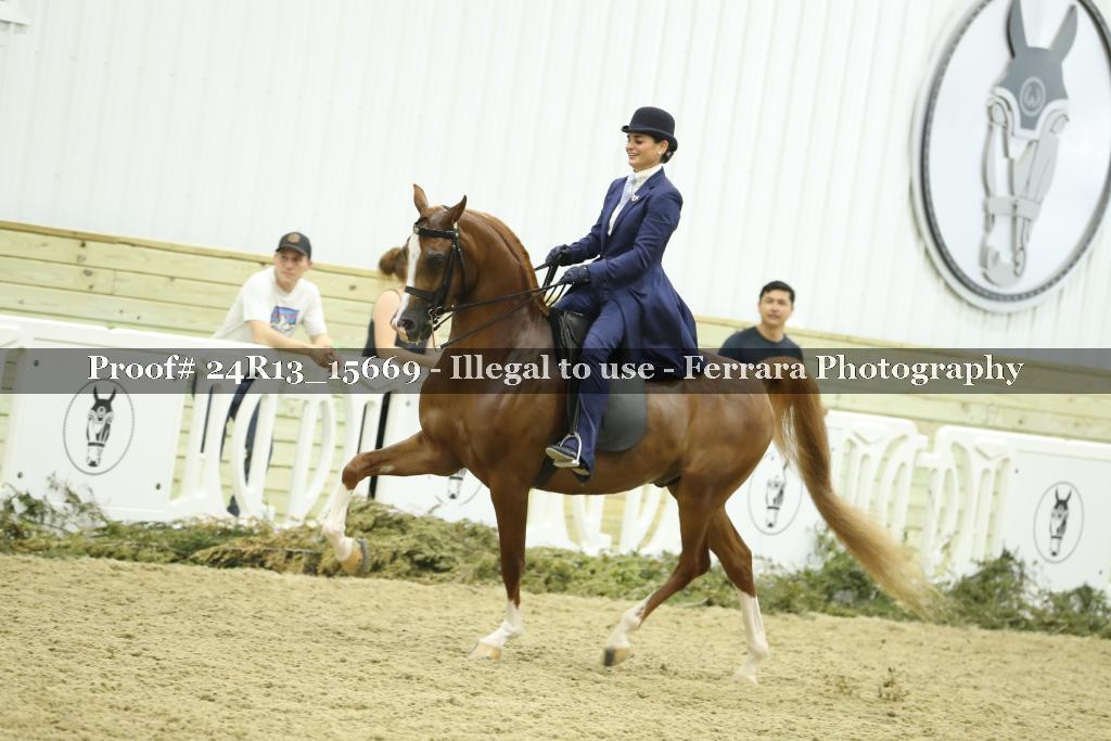 Proof 24R13_15669