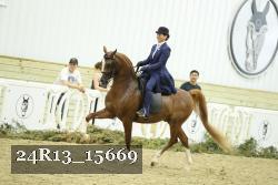 24R13_15669 proof