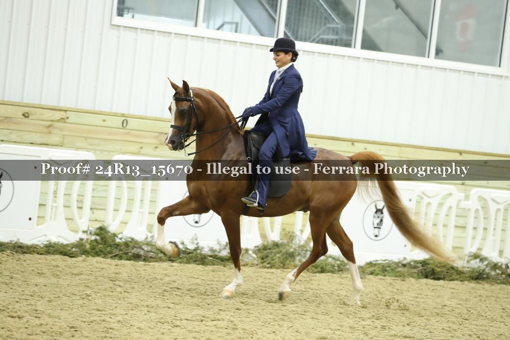 Proof 24R13_15670