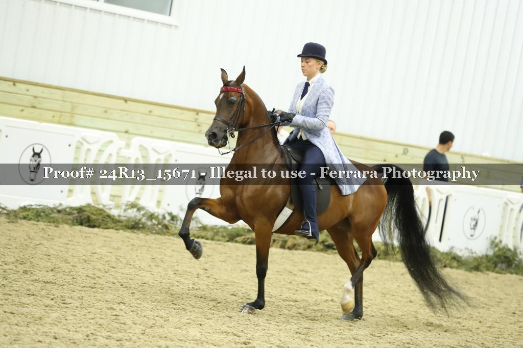 Proof 24R13_15671