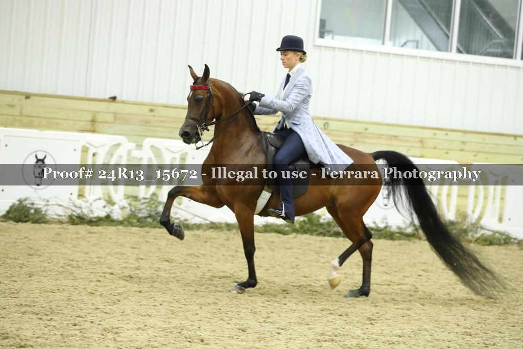 Proof 24R13_15672