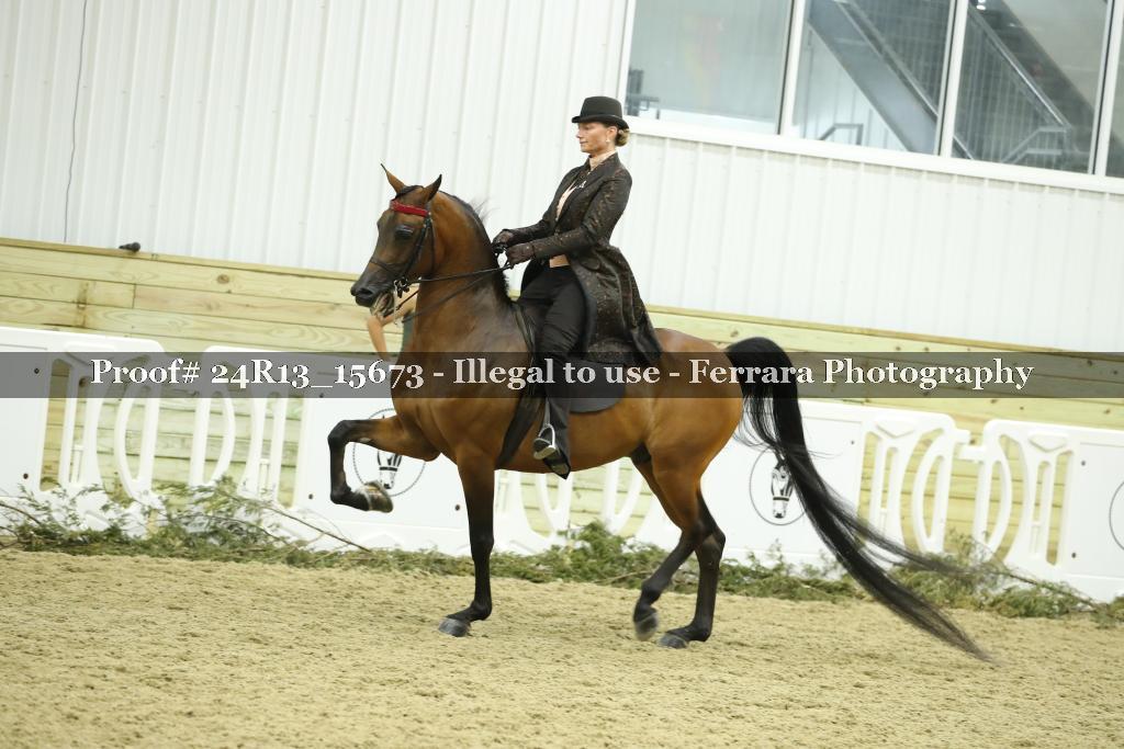 Proof 24R13_15673