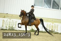 24R13_15673 proof
