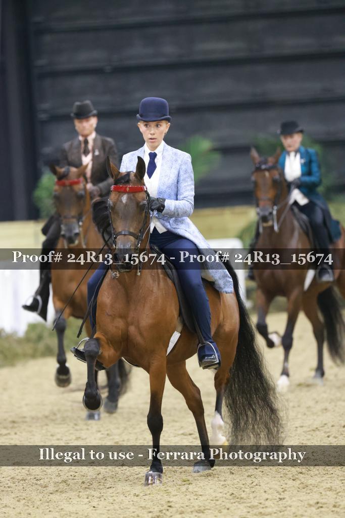 Proof 24R13_15674