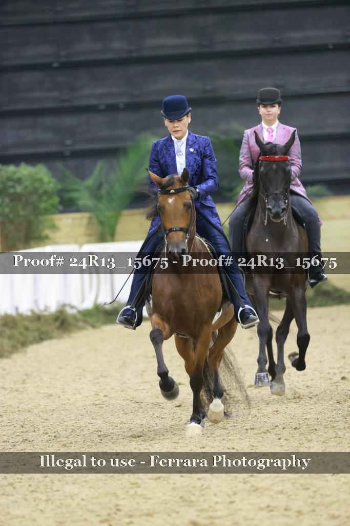 Proof 24R13_15675