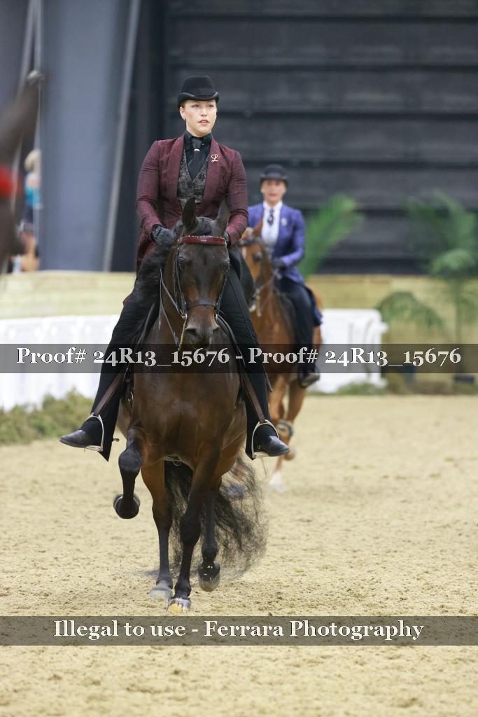 Proof 24R13_15676