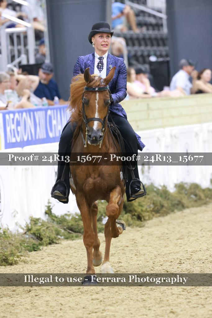 Proof 24R13_15677