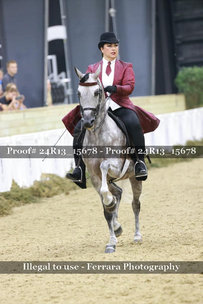 Proof 24R13_15678