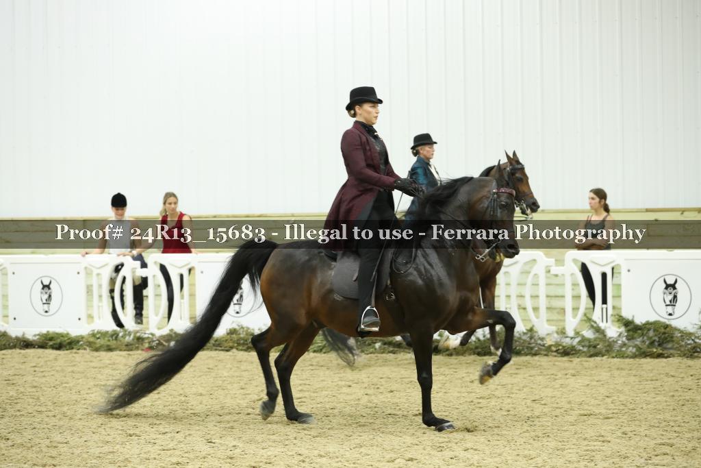 Proof 24R13_15683