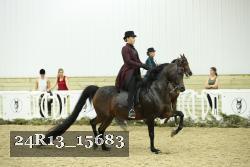 24R13_15683 proof