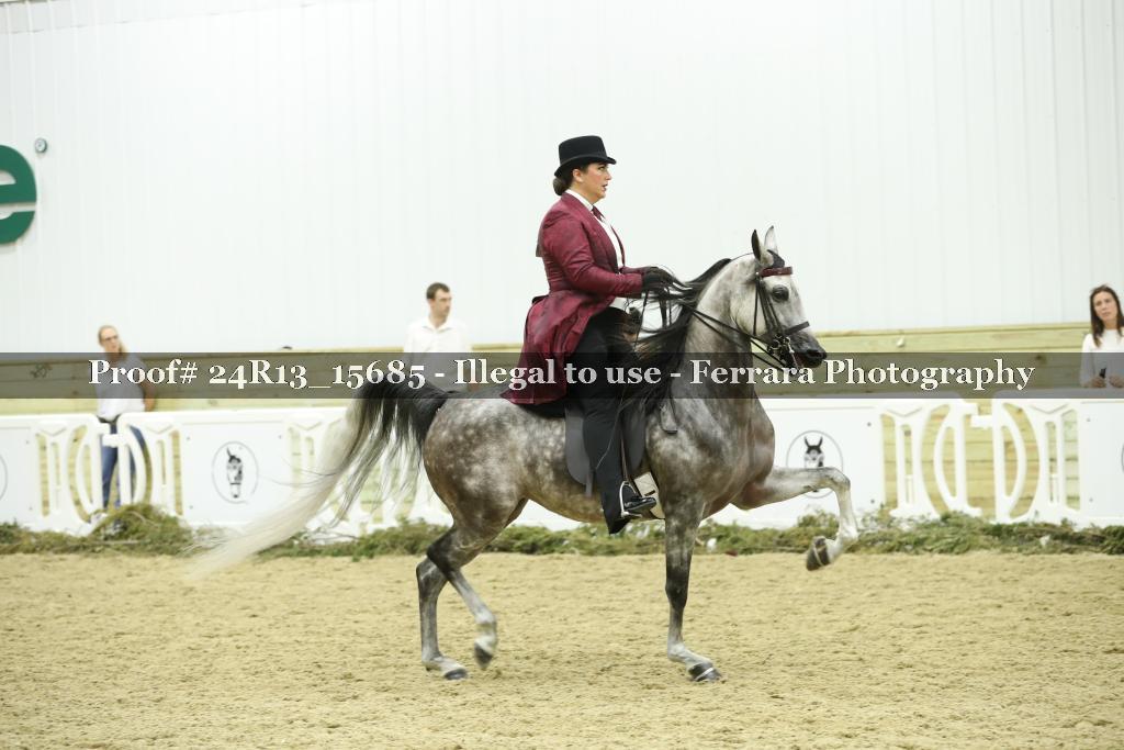 Proof 24R13_15685