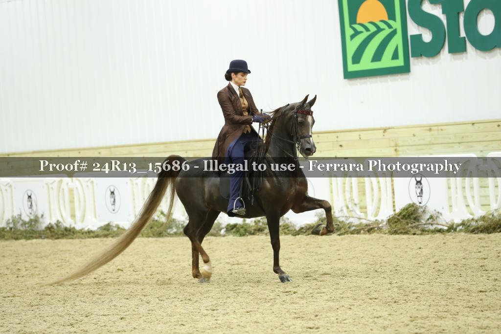 Proof 24R13_15686