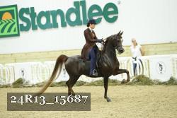 24R13_15687 proof