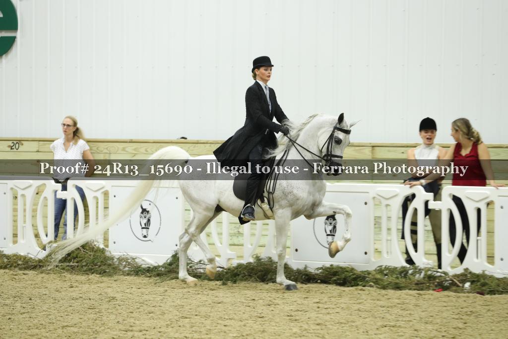 Proof 24R13_15690