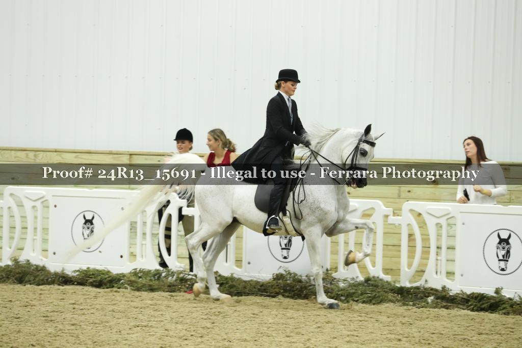 Proof 24R13_15691