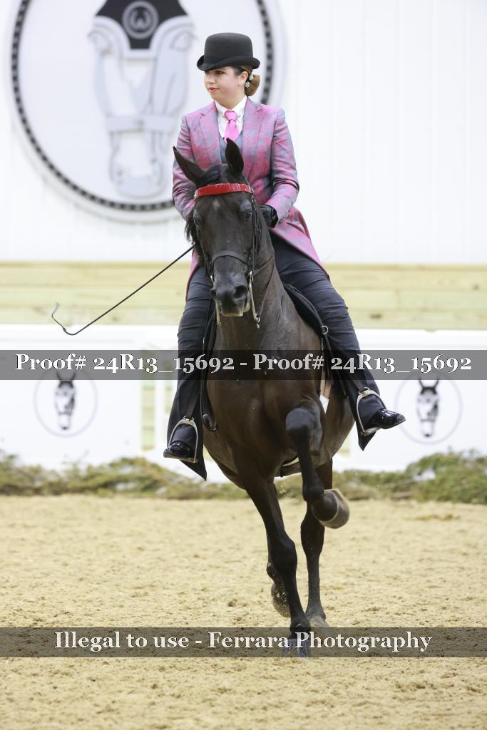 Proof 24R13_15692