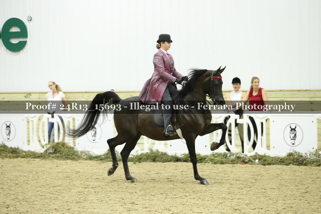 Proof 24R13_15693