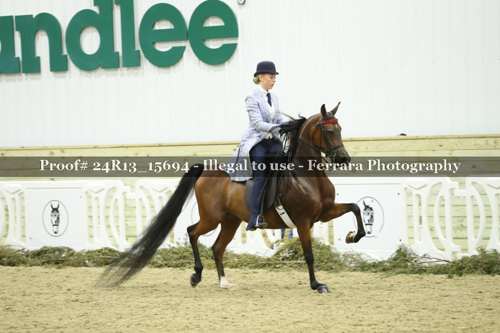 Proof 24R13_15694