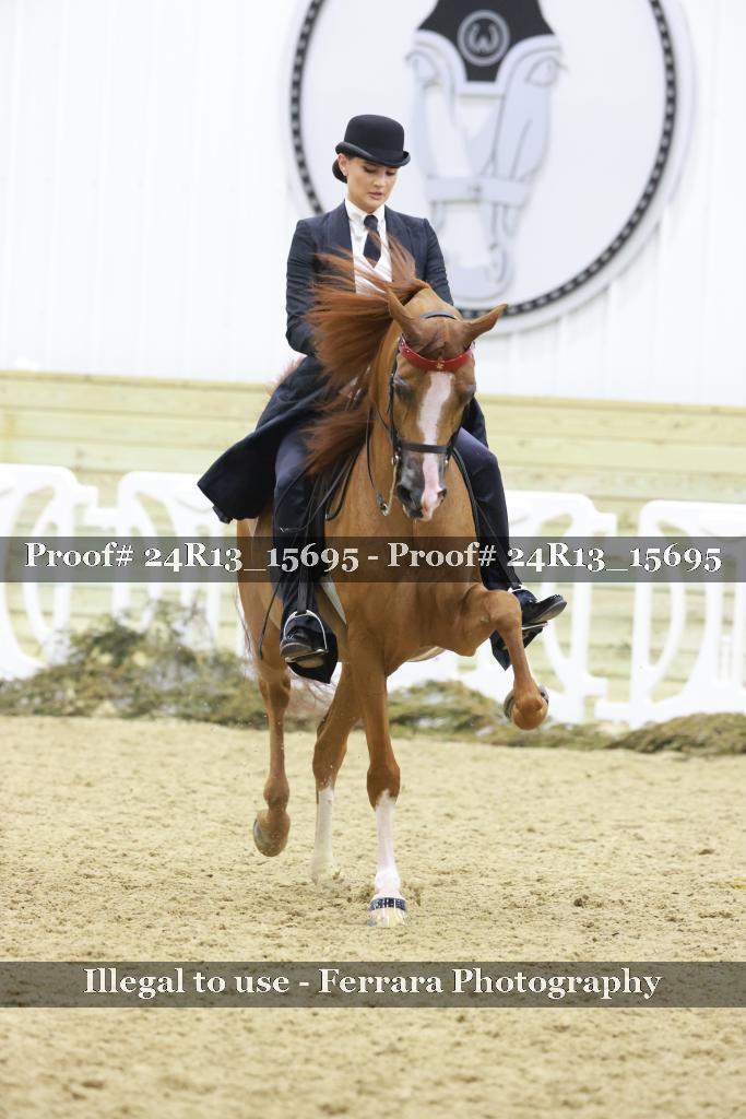 Proof 24R13_15695