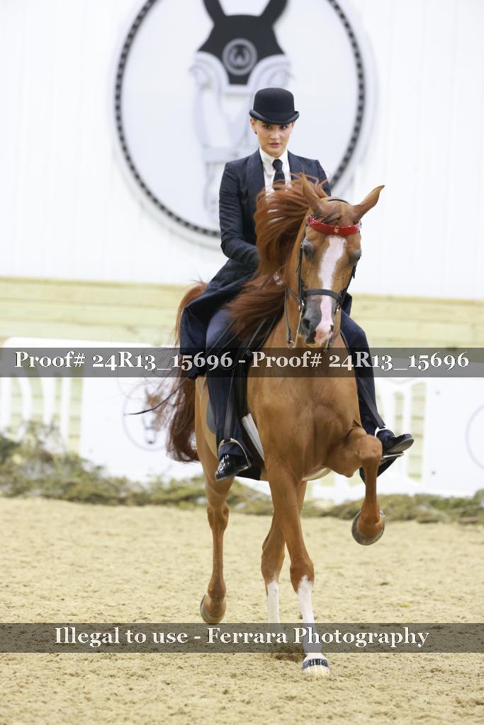 Proof 24R13_15696