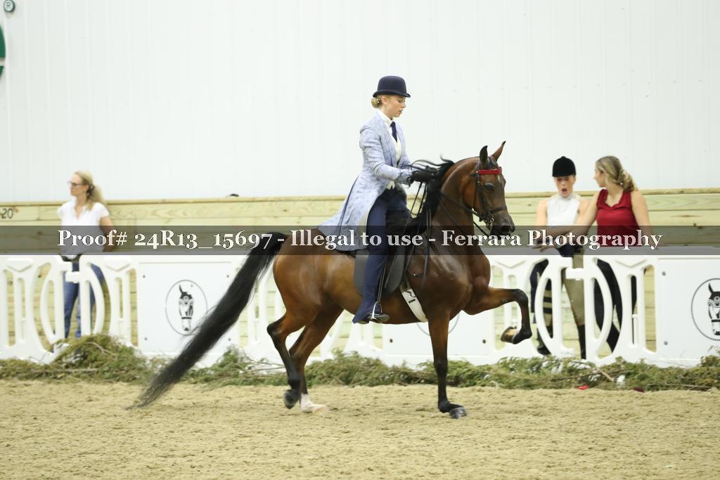 Proof 24R13_15697