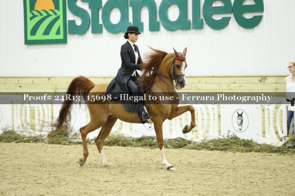 Proof 24R13_15698