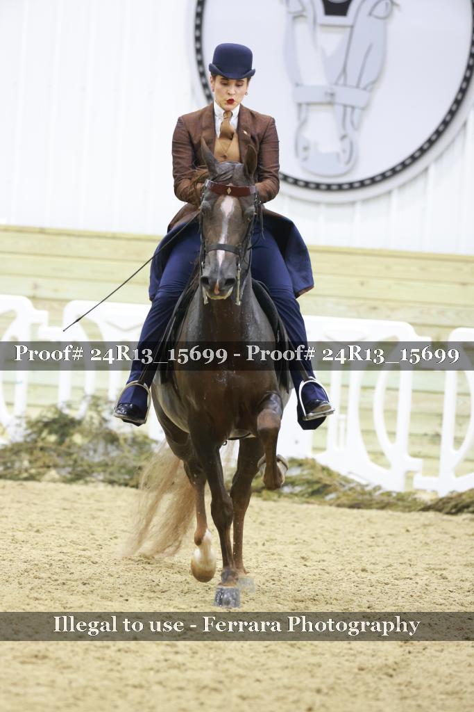 Proof 24R13_15699