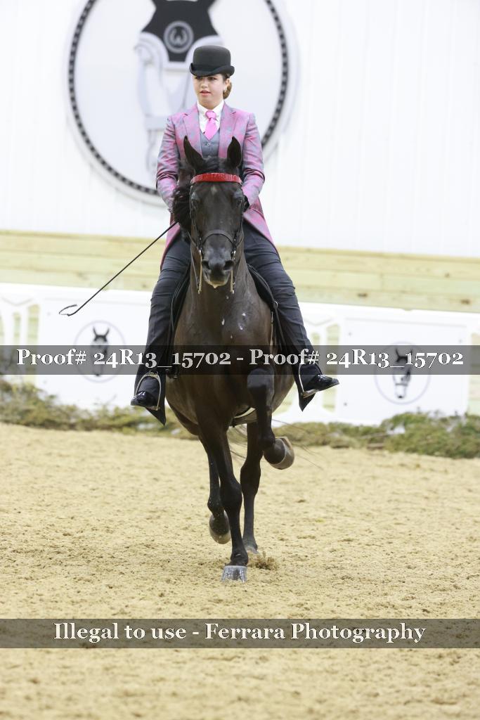 Proof 24R13_15702