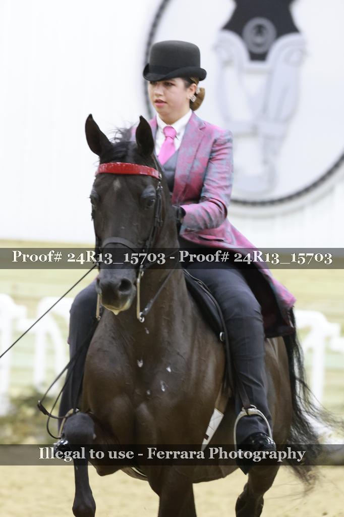 Proof 24R13_15703