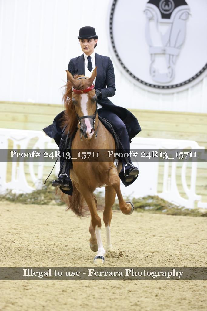 Proof 24R13_15711