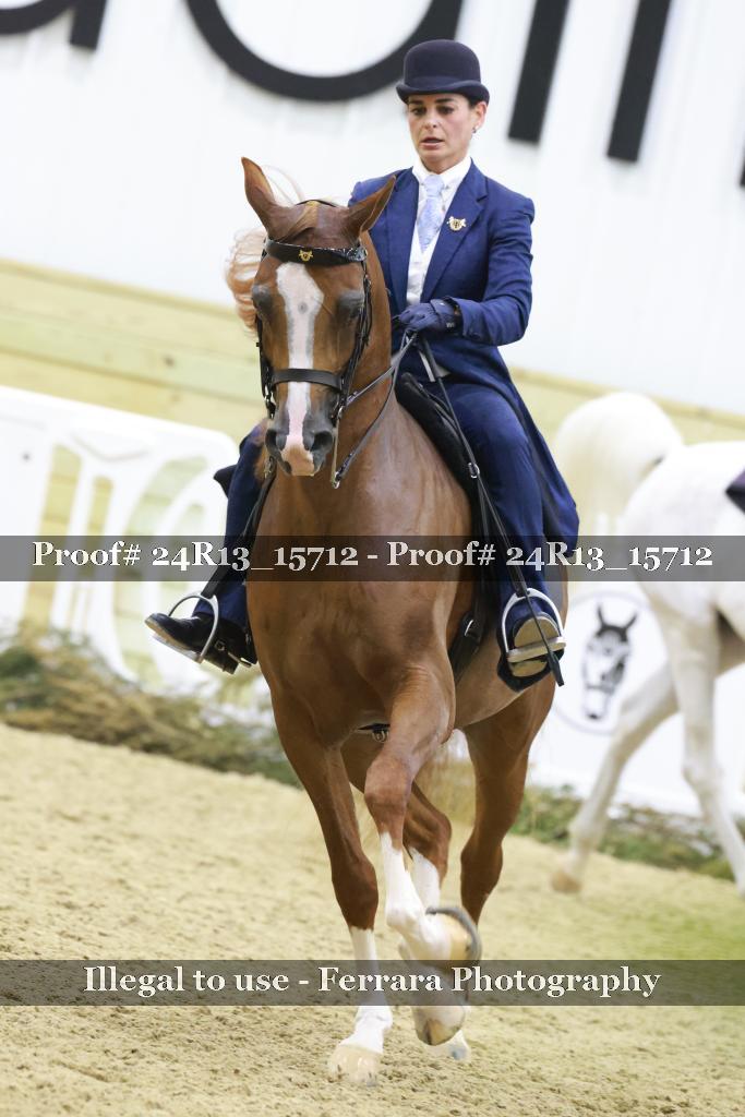 Proof 24R13_15712