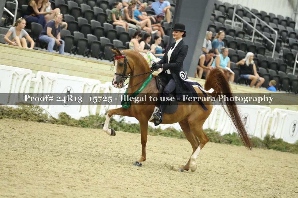 Proof 24R13_15725