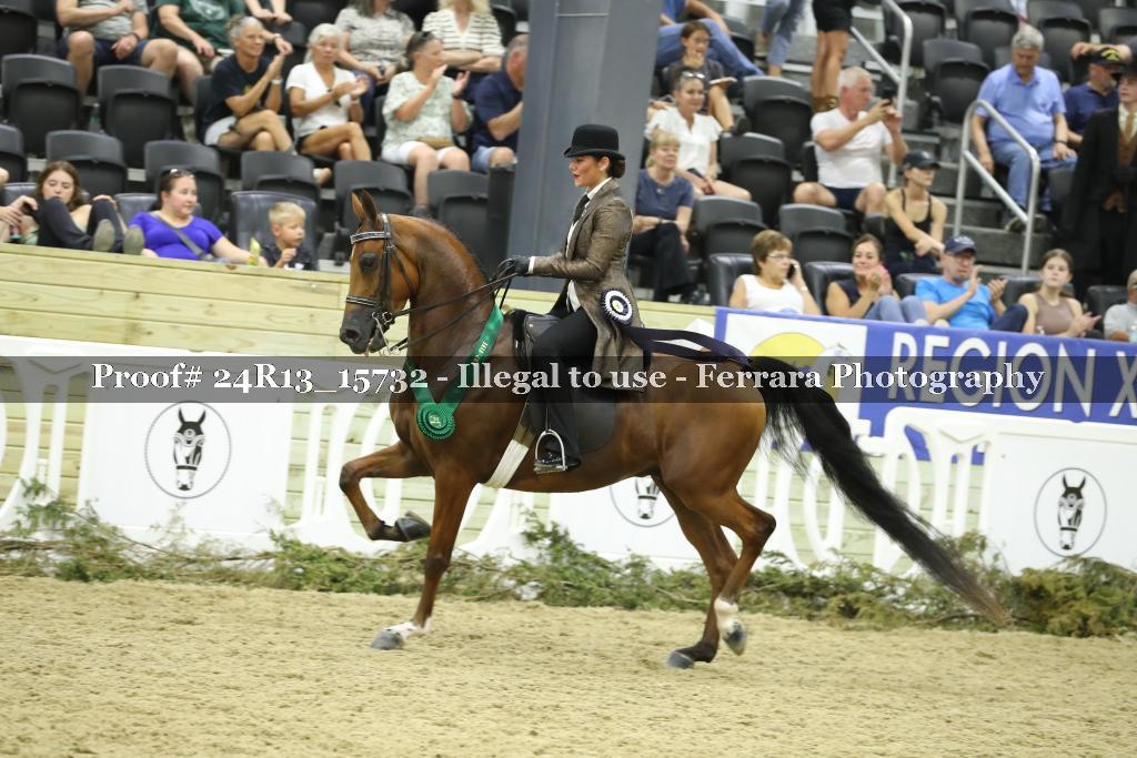 Proof 24R13_15732