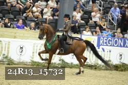 24R13_15732 proof
