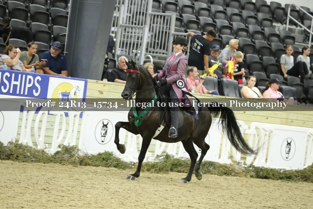 Proof 24R13_15734
