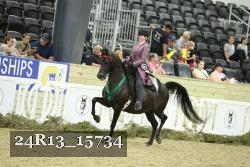 24R13_15734 proof