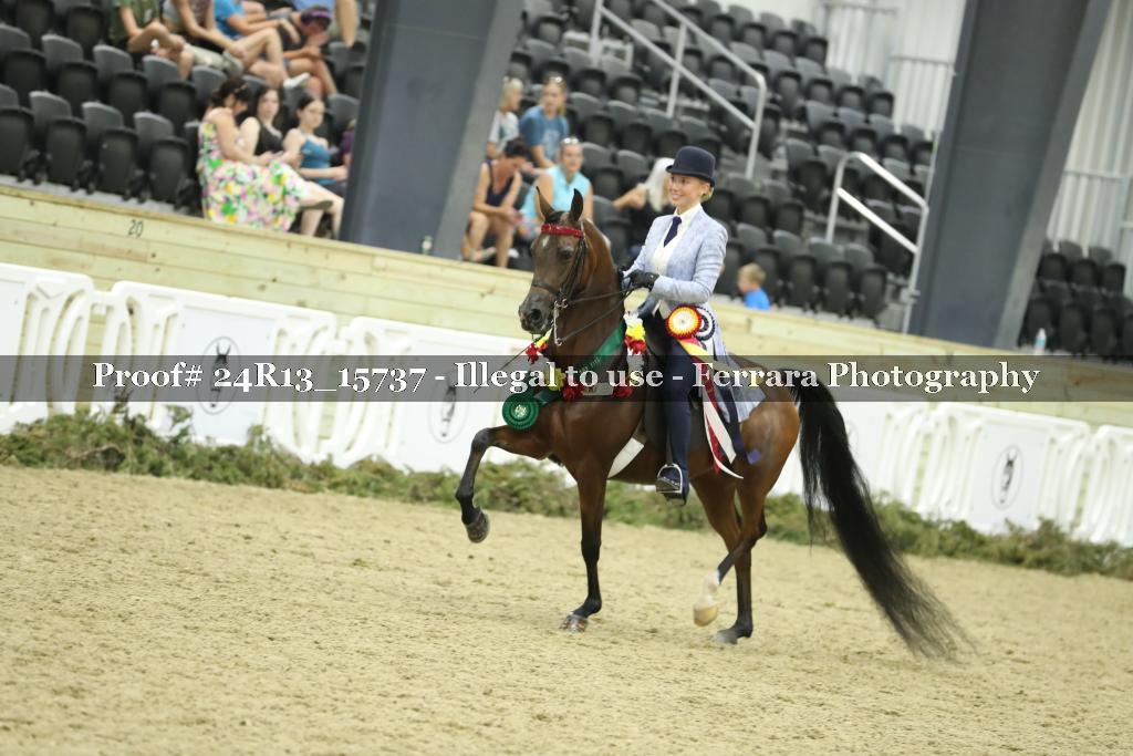 Proof 24R13_15737