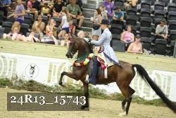 24R13_15743 proof
