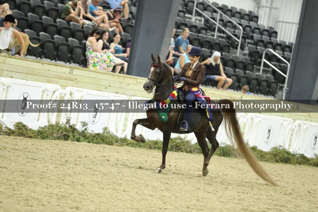 Proof 24R13_15747