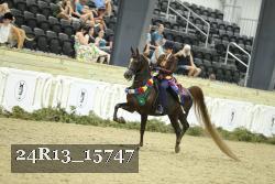 24R13_15747 proof