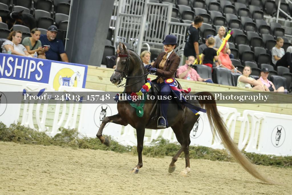Proof 24R13_15748