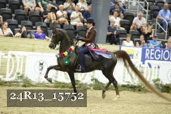 24R13_15752 proof