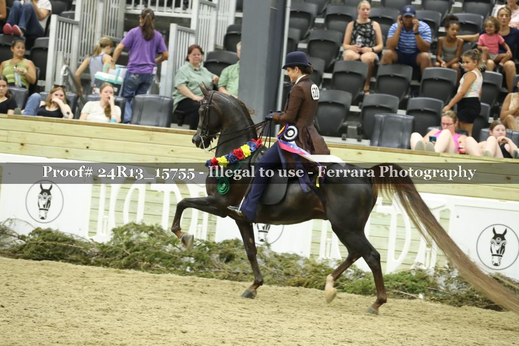 Proof 24R13_15755